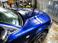 DSCF7218.jpg DSCF7218.jpg