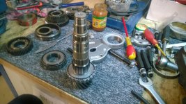 WP_20160319_13_33_16_Pro.jpg WP_20160319_13_33_16_Pro.jpg