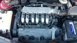 IMAG1592.jpg IMAG1592.jpg