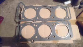 DSC_0310.jpg DSC_0310.jpg