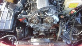 DSC_0323.jpg DSC_0323.jpg