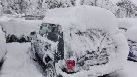 IMG_20170419_065229.jpg IMG_20170419_065229.jpg