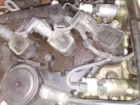 IMG_20180510_132428.jpg IMG_20180510_132428.jpg