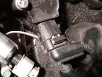 IMG_20180517_183625 — kopia.jpg IMG_20180517_183625 — kopia.jpg