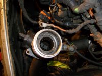 S6300243.JPG S6300243.JPG