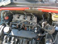 S6300260.JPG S6300260.JPG