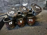 DSC_0252 (1365 x 1024).jpg