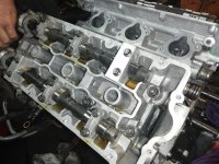 IMG_20180927_140546 (1152 x 864).jpg