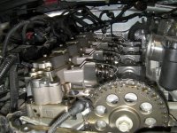 giulia rozrząd .jpg