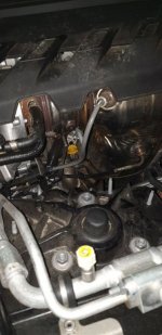 Bagnet w Stelvio.jpg