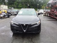 image2.jpg image2.jpg