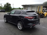 image10.jpg image10.jpg