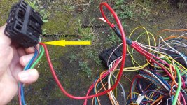 IMAG2305 — kopia (2).jpg