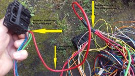 IMAG2305 — kopia.jpg