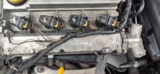 IMG_20201102_123813.jpg IMG_20201102_123813.jpg