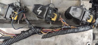 IMG_20201102_123821.jpg IMG_20201102_123821.jpg