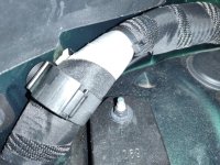 IMG_20201107_184609.jpg IMG_20201107_184609.jpg