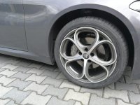 WhatsApp Image 2021-04-24 at 11.50.33.jpg