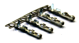 goldpiny.png goldpiny.png