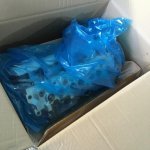 Zdjęcie 22.01.2022, 08 52 06.jpg