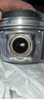 FB_IMG_1651345692381.jpg FB_IMG_1651345692381.jpg