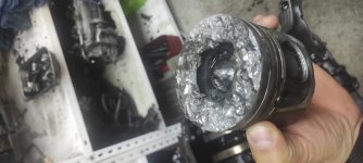 IMG_20220509_204507.jpg IMG_20220509_204507.jpg