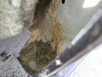 IMG_20221106_122505.jpg IMG_20221106_122505.jpg