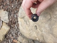 20220506_180206.jpg 20220506_180206.jpg