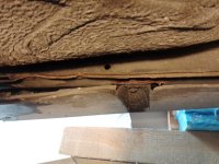 IMG_20230616_142510_458.jpg IMG_20230616_142510_458.jpg