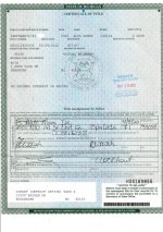 20220808_171038208_006 (1).jpg