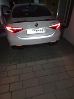 Zdjęcie WhatsApp 2025-01-31 o 19.49.35_39cfec02.jpg