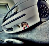 P1030608.jpg P1030608.jpg