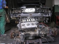 P5200024 (Large).JPG