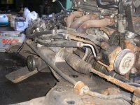 P5200031 (Large).JPG