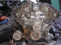 P5200029 (Large).JPG