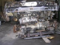 P5200022 (Large).JPG