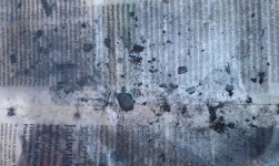 2013-03-14 13.02.10.jpg