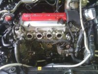 11780393_996528590381121_142043627_n (1).jpg