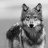 Lone Wolf